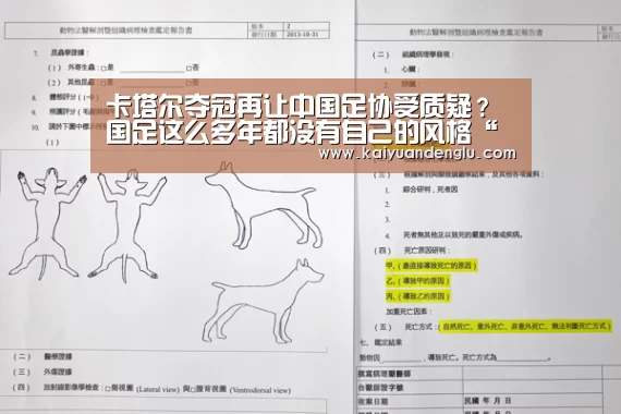 开元娱乐