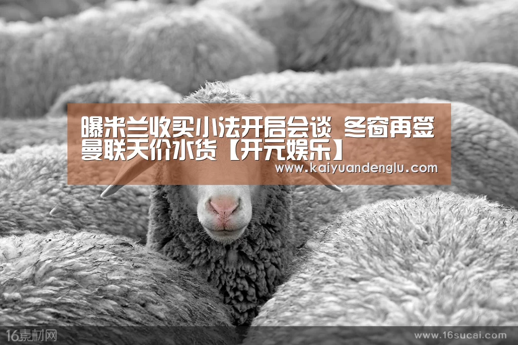 开元娱乐