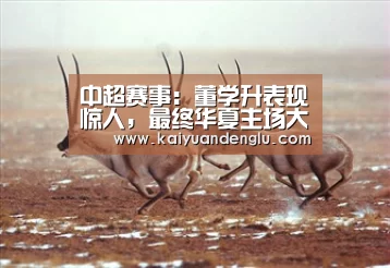 开元直播